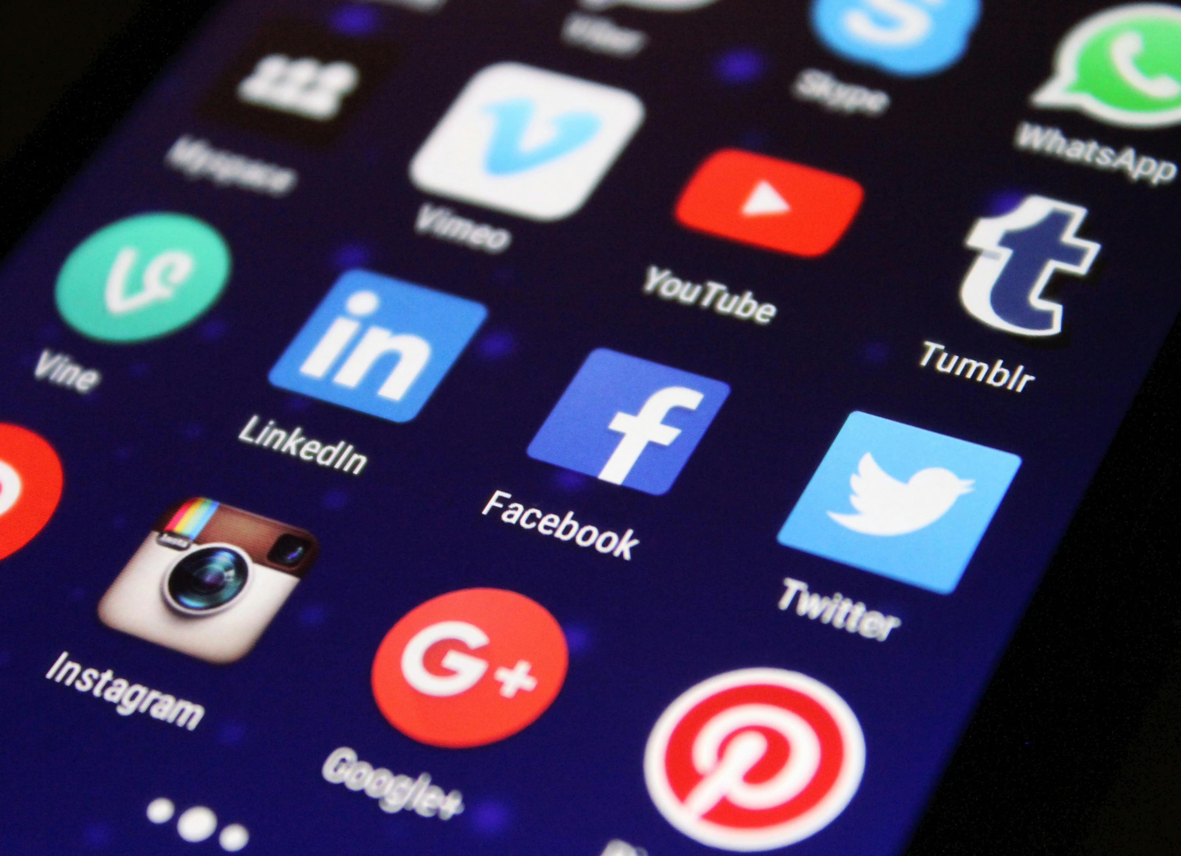 Create engaging content and manage social media platforms effectively.